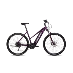 ROWER UNIBIKE FALCON LDS BURGUNDOWY.